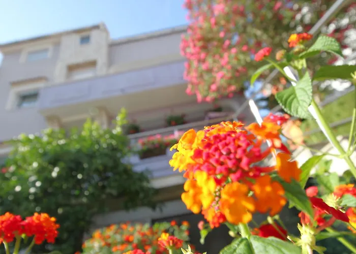Pejic Apartments